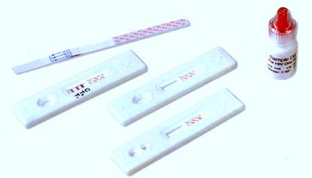 Repeated HIV antibody testing for exposed partners If woman seroconverts during pregnancy, provide
