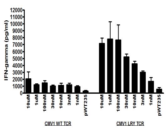 High Expression Levels Enable Improved Function Dominant TCR allows activation at much lower target concentration Cells display considerably improved target-specific functionality