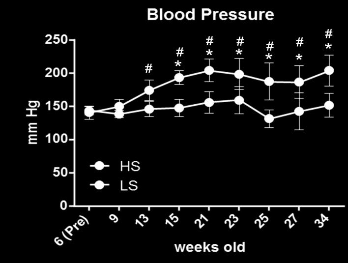 Figure 4. Systolic blood pressure. # p < 0.05 vs. Pre HS; * p < 0.05 vs. LS A B C D Figure 5.