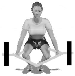 The lifter should feel an extensive stretch sensation in the hamstrings and lower back. D 1.