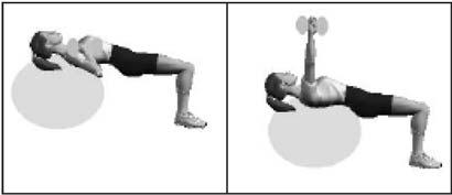 Slowly lower and touch upper chest area, elbows pointed outward, pause. Tips Never bounce dumbbells off of chest. Do not arch lower back. Keep feet flat.