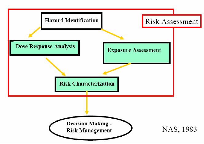 41 d. Risk Characterization This process estimates the potential adverse events given exposure and dose-response to an infectious agent.