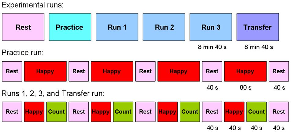 During Runs 1, 2, and 3, the participants underwent rtfmri neurofeedback training consisting of alternating blocks of Rest, Happy, and Count conditions, each lasting 40 seconds.