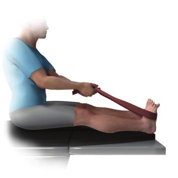 Plantar Fascia Stretching Exercise (Level 1) You should perform the stretches in this section daily for two weeks. When the pain caused by your Plantar Fascia is becoming less, proceed to Level Two.