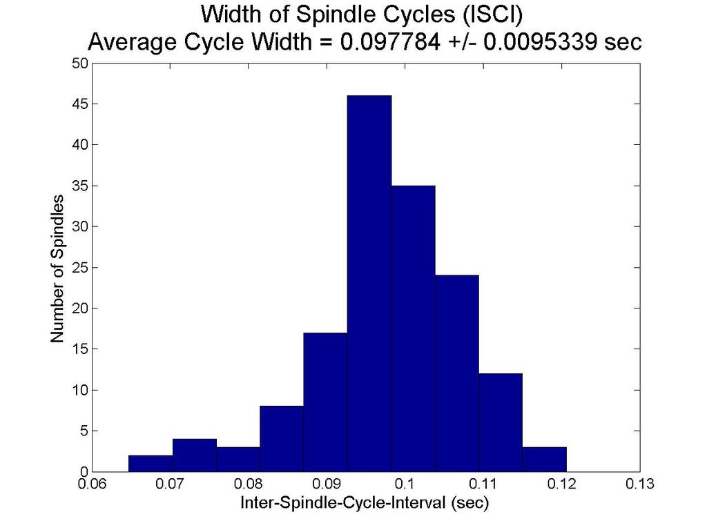 FIG. 5: Histograms of spindle cycle