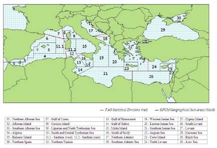 General Fisheries Commission for the Mediterranea Geographical distribution of Anisakis spp (Kuhn T, García-Màrquez J, Klimpel S (2011) Colour