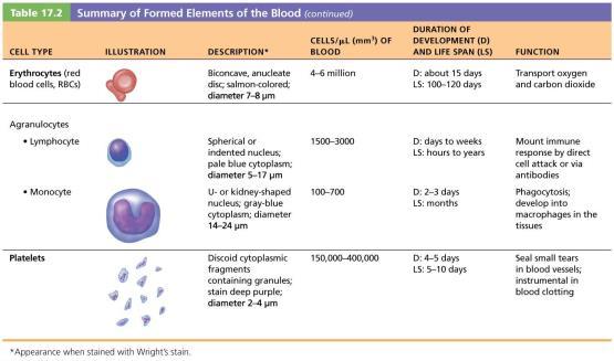 Summary of Formed Elements of the Blood (continued) Hemostasis Hemostasis: fast series of reactions for stoppage of bleeding Requires clotting factors and substances released by platelets and injured