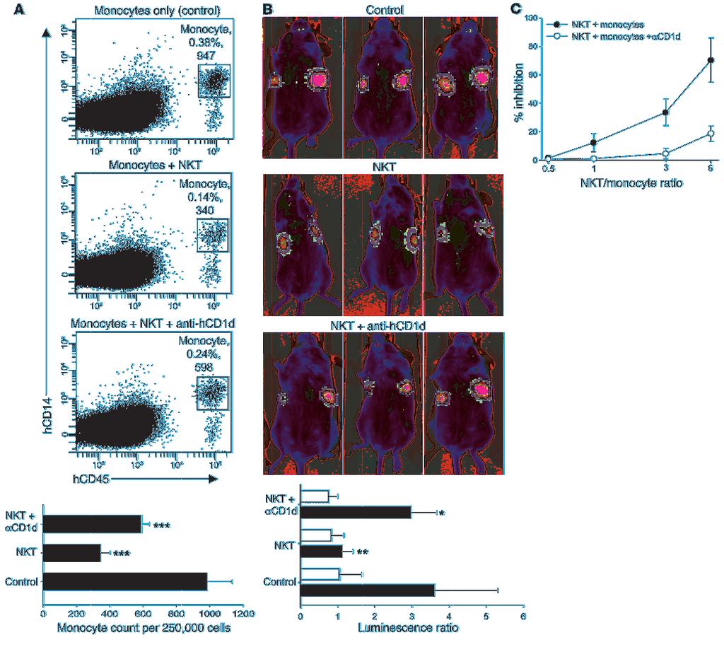 Figure 7 Adoptively transferred NKTs reduce the number of tumor-infiltrating monocytes in tumor xenografts. (A) CHLA-255 neuroblastoma cells were injected subcutaneously into NOD/SCID mice.
