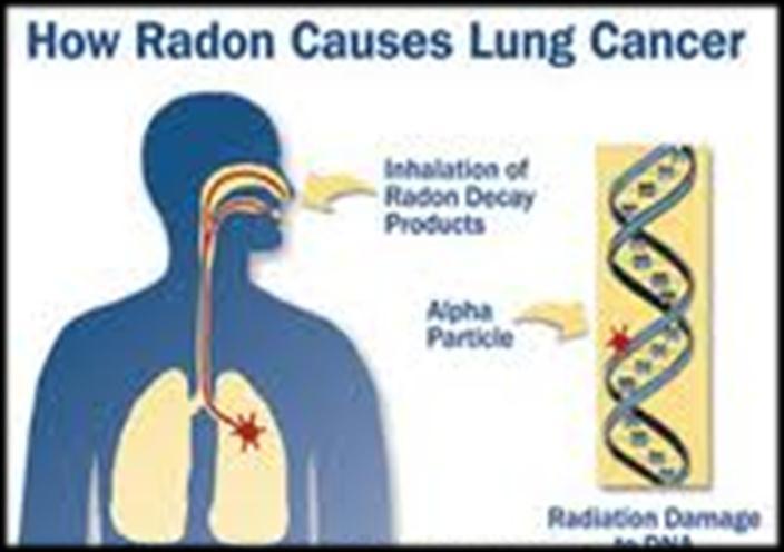 Radon exposure and workers' health risks Radon is a radioactive inert gas produced from the radioactive decay of uranium in rocks and