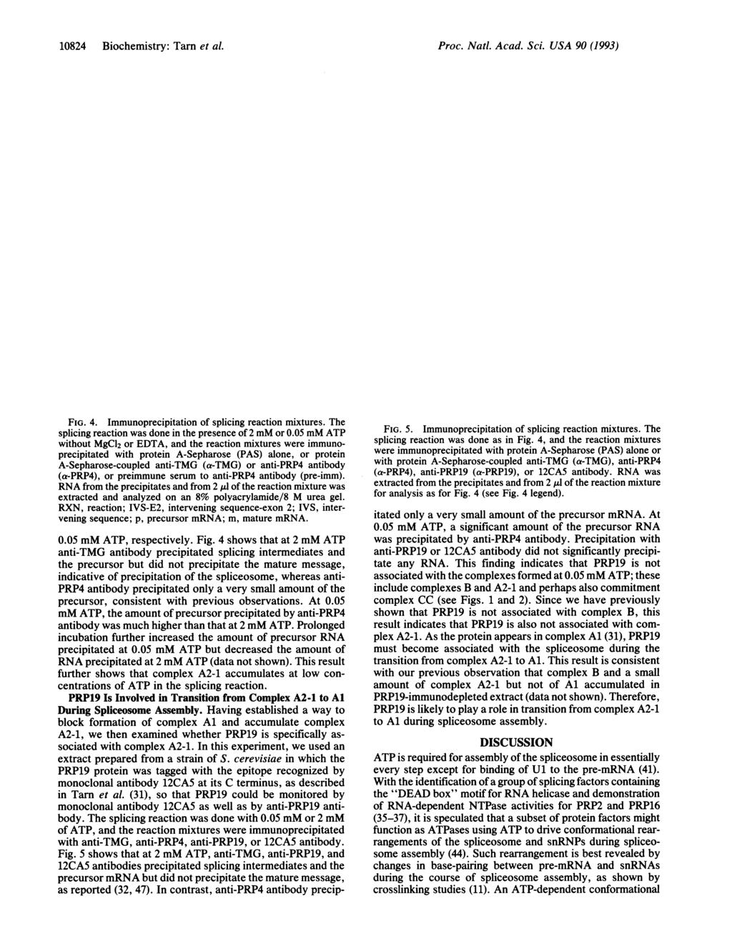 10824 Biochemistry: Tam et al. ATP 2 mm E Z Cl) x <: t 12 CE: CL t QL IVS-E2- IVS- a a p "1l EL 0q G ts C Zx 0.05 mm <Cm- < 76. E -; Erc Proc. Natl. Acad. Sci. USA 90 (1993) ATP 2 mm 0.