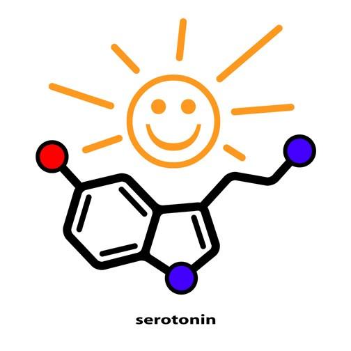 Other Antidepressants that increase Serotonin Generic Trazodone Desyrel Oleptro Side effects: Sedation, nausea, dry mouth, dizziness Brand Generic