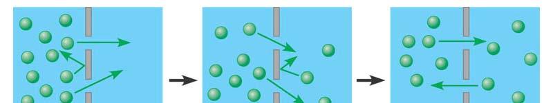 I. Passive transport is diffusion across a membrane