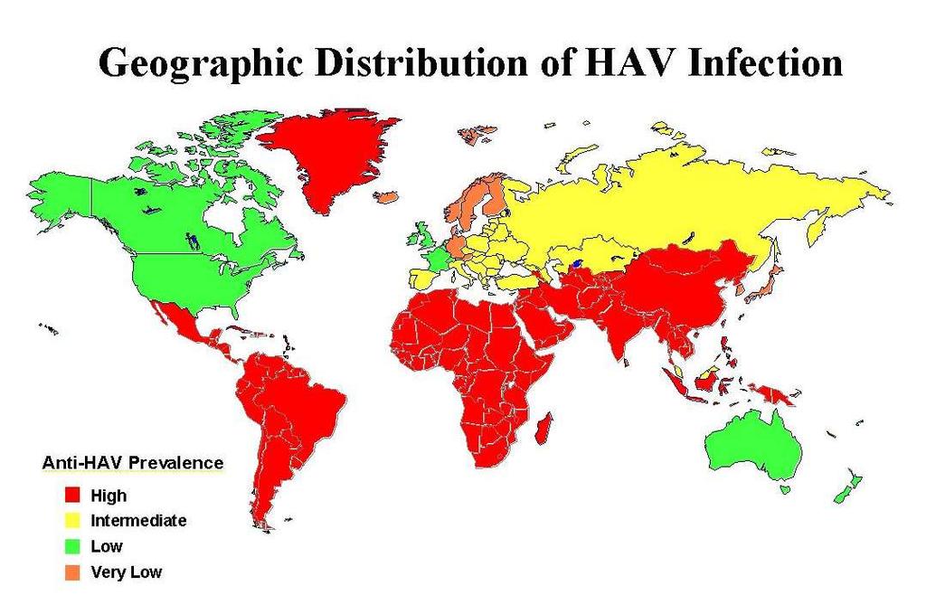 Family medicine and the viral hepatitis front lines Prevention Screening Diagnosis Treatment Primary care of patients with chronic hepatitis B and C Hepatitis A, B and C: Current incidence/prevalence