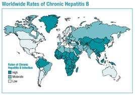 Hepatitis B Hepatotropic DNA virus Blood borne transmission Acute and chronic viral hepatitis Global public health problem, especially Asia and Africa Up to 2.