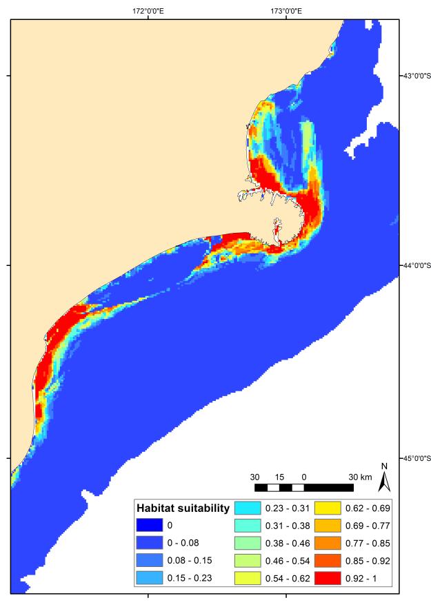 Figure 3-15:Habitat suitability prediction of Hector's dolphin for the east coast South Island area.