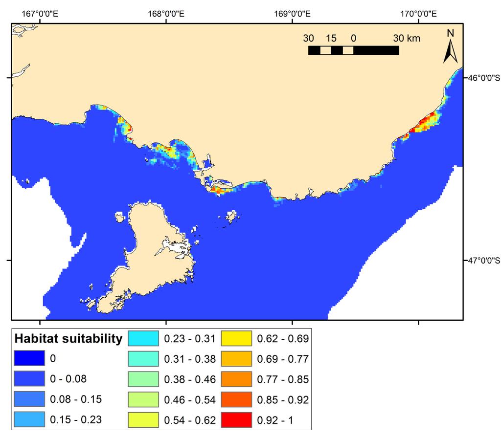 Figure 3-16:Habitat suitability prediction of Hector's dolphin for the south coast South Island area. Predictions derived from the habitat use model with bias correction.