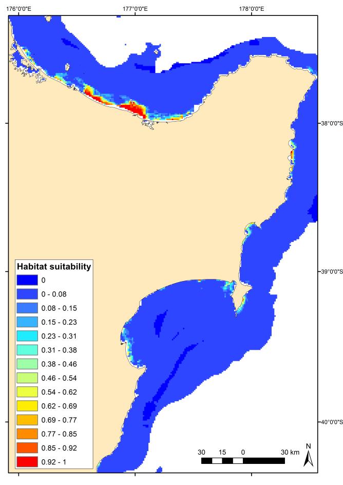 Figure 3-17:Habitat suitability prediction of Hector's dolphin for Bay of Plenty and Hawke's Bay area.
