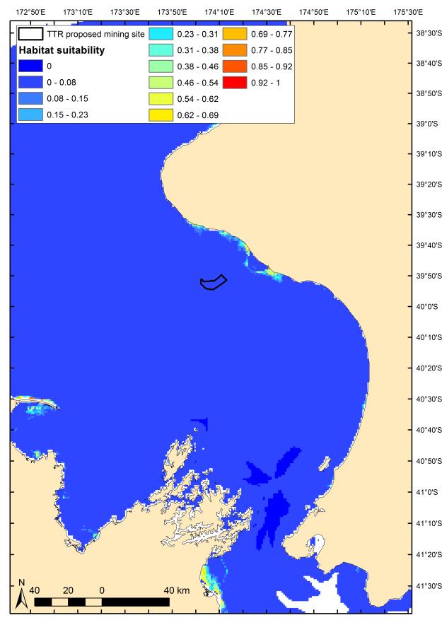 Figure 3-18:Prediction of habitat suitability for Hector's dolphin in the South Taranaki Bight. TTR proposed project area outlined in black.