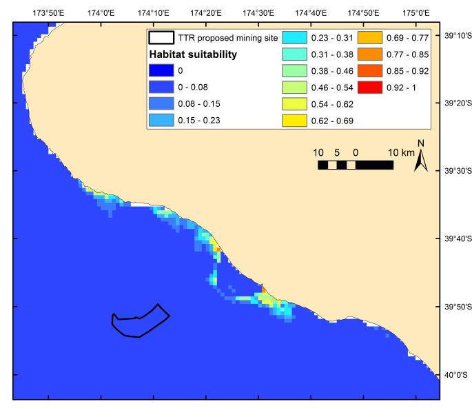 Figure 3-20:Enlargement of prediction of habitat suitability for Hector's dolphin inshore of the TTR proposed project area. TTR proposed project area outlined in black.