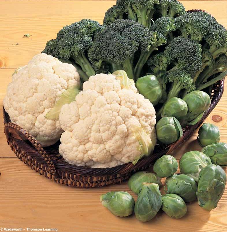 Risk factors for cancer Diet Antipromoters Fruits and vegetables with fiber,