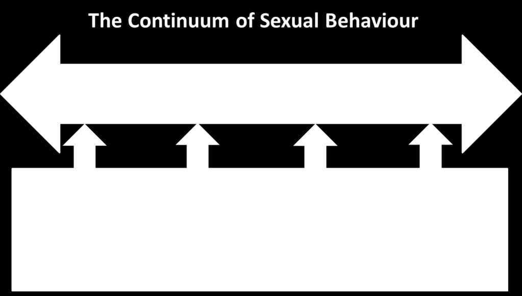 incidents of harmful and inappropriate sexual behaviour. As a priority, the New Zealand Defence Force will deliver effective and sensitive support to victims.