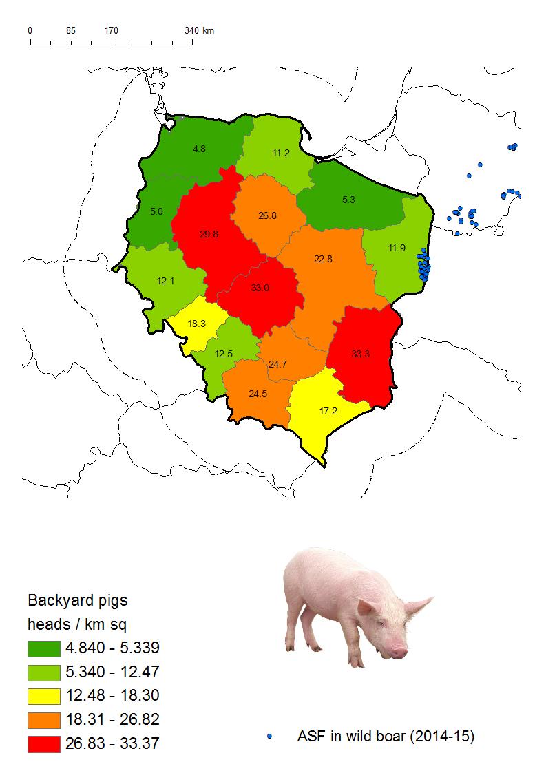 Figure 2: Poland - backyard distribution at regional level Bio-Security The Polish Veterinary Authority has adopted a national biosecurity program.