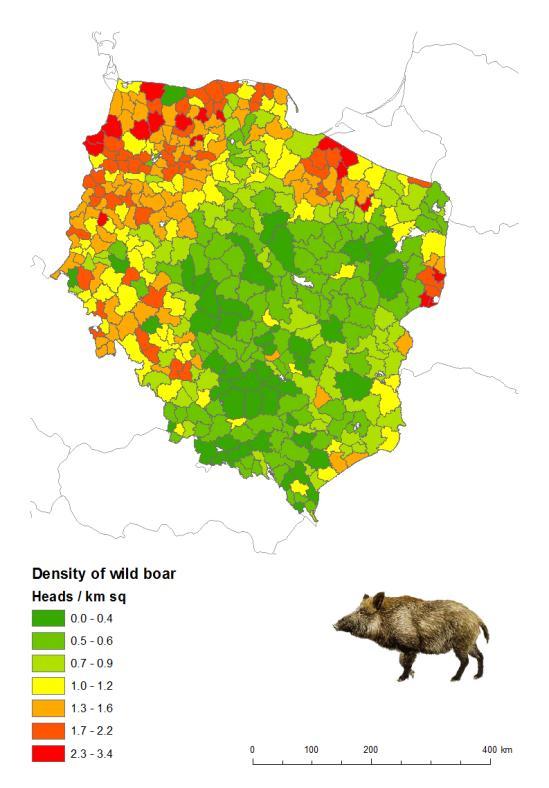 ASF infected farms were early detected in Poland by means of active and passive surveillance and appropriate measured were taken, avoiding further spread of the disease.