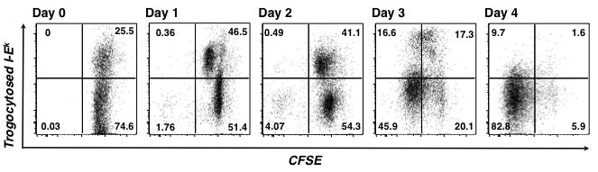 mice, whereas in fig. 12 T cells are taken from mice that have I-E k positive APCs, which allow for Ag presentation to occur. From the data in fig.