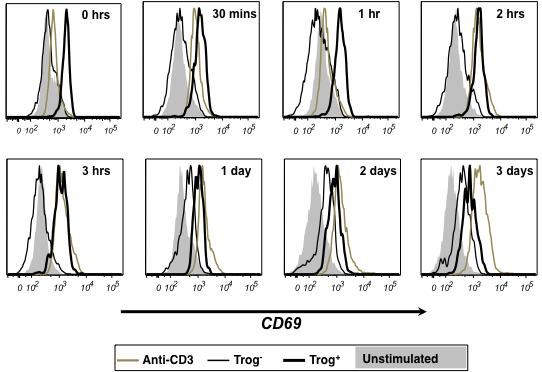 A B Figure 14. Sustained CD69 expression in trog + CD4 + T cells.