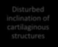 cartilaginous structures Voice disturbance Tension