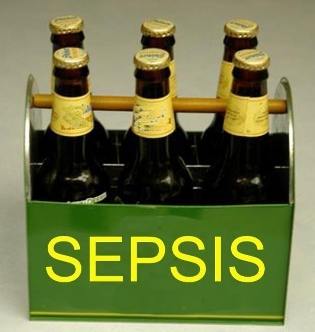 Sepsis 6 Pack within 6 hours 1. Serum Lactate Level 2. Blood Cultures before Antibiotics 3.