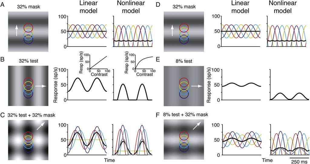 Figure 3. Crossorientation Suppression in Two Feed-Forward Models of a Simple Cell (A F) Predicted membrane potential responses are shown for six different grating stimuli.