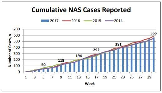NAS in Tennessee Tennessee Department of Health. Neonatal Abstinence Syndrome Surveillance.