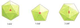Icosahedral Symmetry