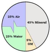 The basic soil components are: minerals, organic matter, water and air.