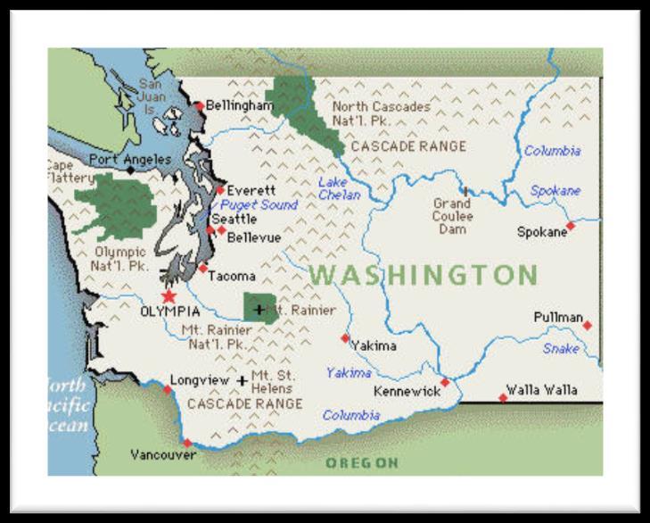 Washington State Rules Prescribing Rules Washington Agency Medical Directors Opioid Dosing Guidelines Pain Management Rules ED