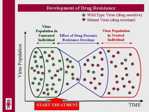 Chapter 1. Introduction image from http://www.vircolab.com/bgdisplay.jhtml?itemname=understandinghiv Fig. 1.2 The development of drug resistance.