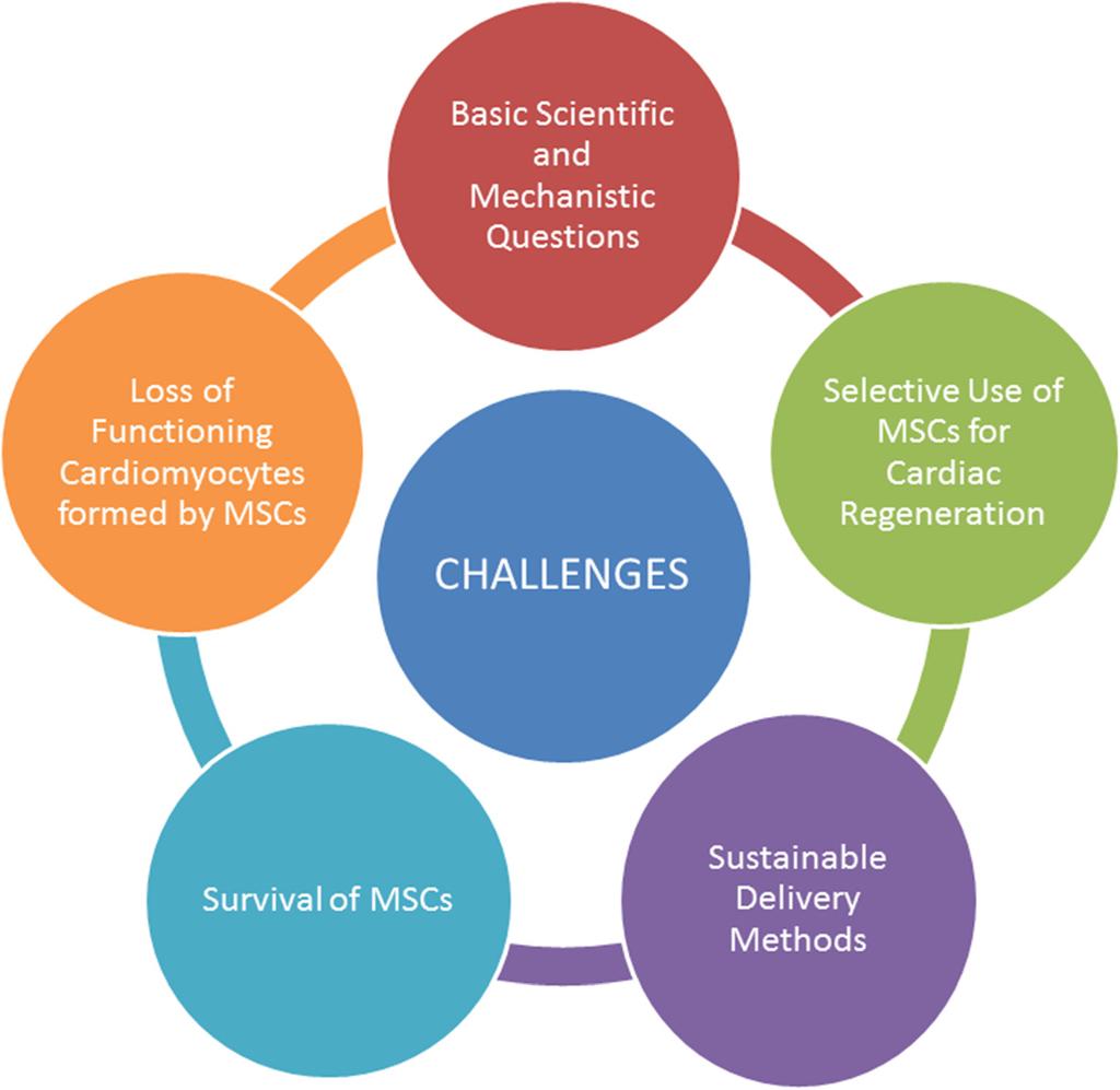 Singh et al. Stem Cell Research & Therapy (2016) 7:82 Page 16 of 25 Fig. 2 Challenges in use of MSCs for cardiac regeneration.