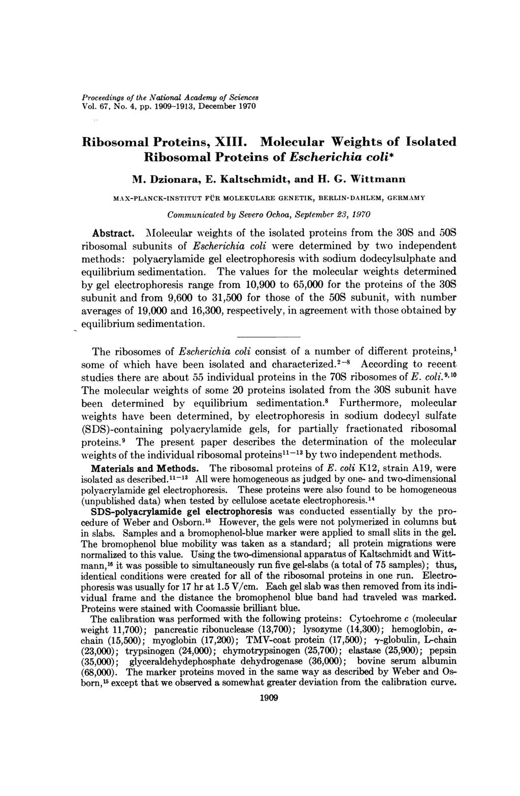 Proceedings of the National Academy of Sciences Vol. 67, No. 4, pp. 1909-1913, December 1970 Ribosomal Proteins, XIII. Molecular Weights of Isolated Ribosomal Proteins of Escherichia coli* M.
