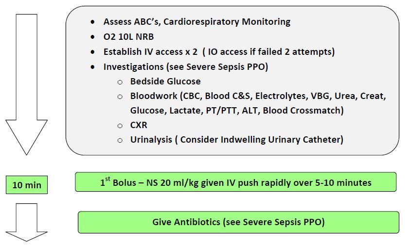 CHEO Algorithm for Pediatric Sepsis References: 1. Paediatric community- acquired septic shock: results from the REPEM network study.