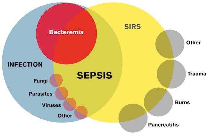 Could this be Sepsis?