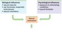 Levels of Analysis for Sexual Motivation Levels of Analysis for