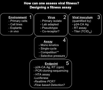 To continue the evaluation of the PCS vaccine on SIVmac239 fitness, competitive fitness assays will be carried out as described by Anastassopoulou et al [78].