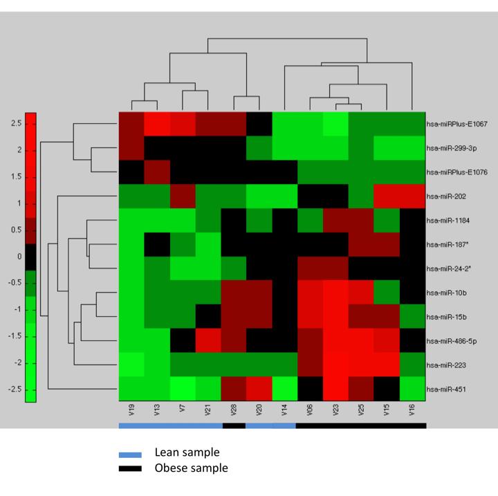 Figure 1. Heirarchial biclustering of heatmap data of 12 significantly changed mirnas automatically clusters lean and obese groups. This is indicative of correlation between mirnas and obesity.