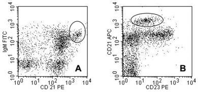 74 VUGMEYSTER ET AL. FIG. 4. FACS analyses of cynomolgus monkey splenic B cells.