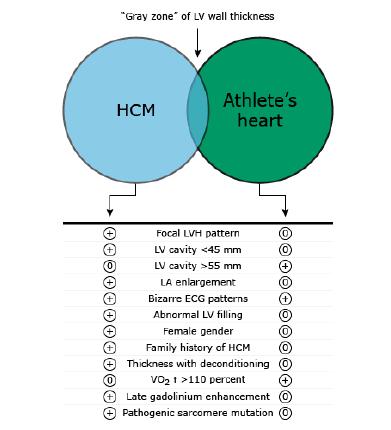 Pathologic LVH (HCM) vs Physiologic LVH