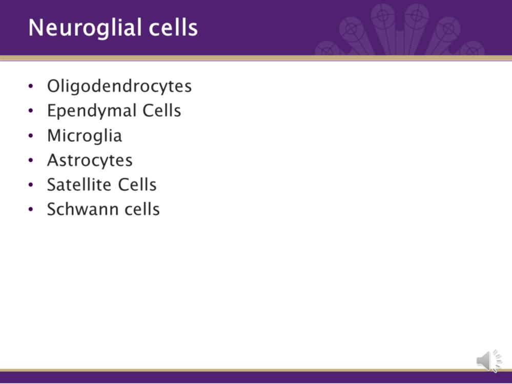 We have two types of cells in nervous system: neurons and neuroglial cells or glial cells. Neuroglia are helper cells in the nervous system.