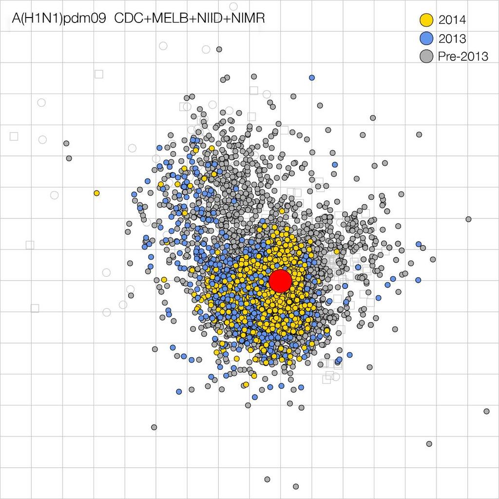 Antigenic cartography of A(H1N1)pdm09 viruses Gold: viruses from 2014 Blue: viruses from 2013 Grey: viruses