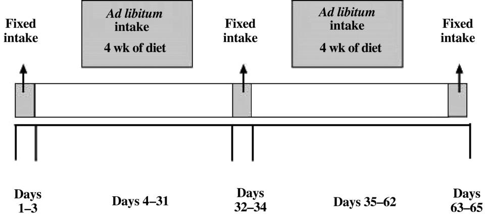 Effects of a high-protein ketogenic diet on intake and weight loss in obese men feeding ad libitum 5 High-protein, low-carbohydrate ketogenic VS high-protein, medium-carbohydrate nonketogenic 17
