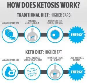 Ketosis Glucose is usual source of energy Once glucose sources (exogenous and endogenous) are depleted the liver